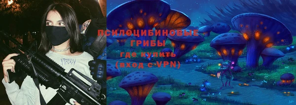 ешки Зеленодольск