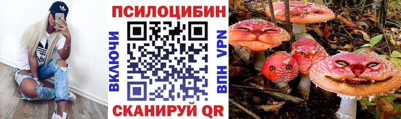 Галлюциногенные грибы Magic Shrooms  Купить где  Шенкурск 